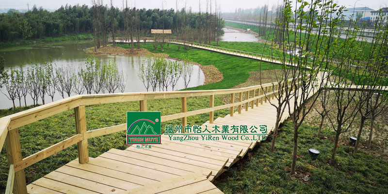 �P(y��ng)����ˎ�@ľ�������˽�ͤ��ƽ�_(t��i)��ˮ�