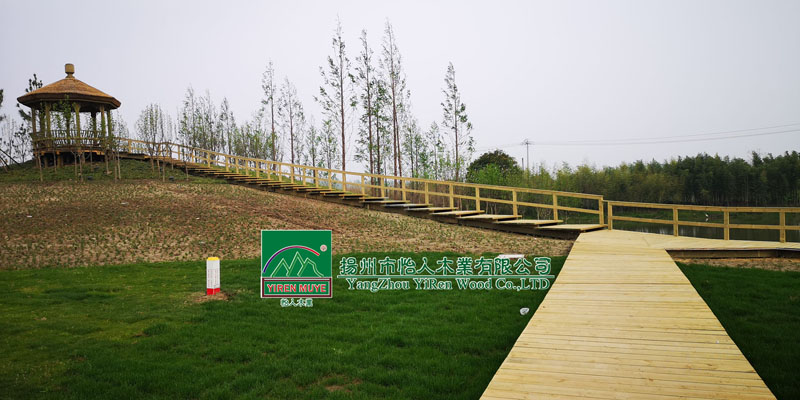 �P(y��ng)����ˎ�@ľ�������˽�ͤ��ƽ�_(t��i)��ˮ�