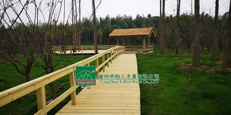 �P(y��ng)����ˎ�@ľ�������˽�ͤ��ƽ�_(t��i)��ˮ�